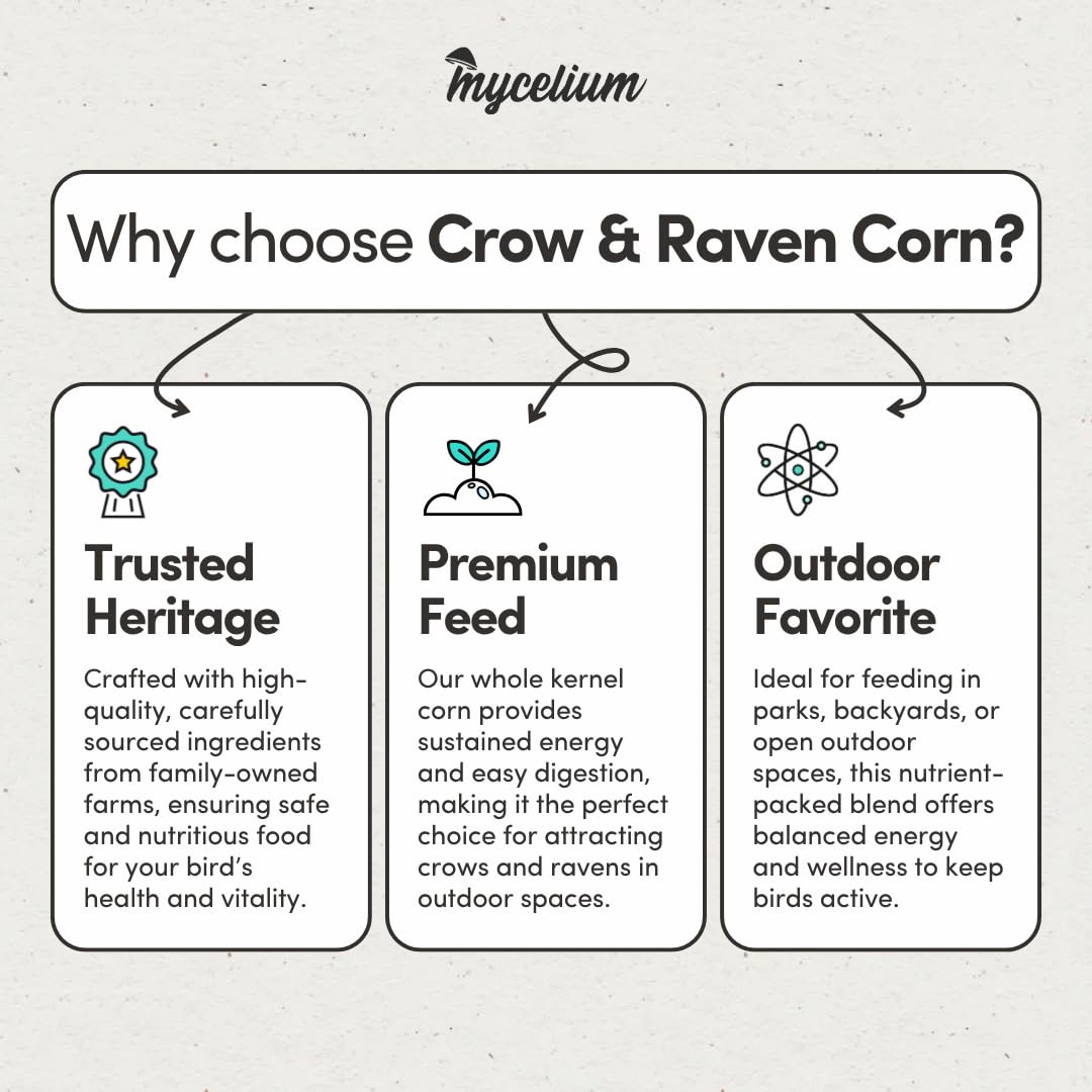 Mycelium Premium Whole Corn – 5LB Organic Non-GMO Bird Food for Crows, Ravens, Ducks, Geese, and Wild Birds – High-Energy No-Mess Corn Feed for Ground Feeding and Platform Feeders – USA Grown