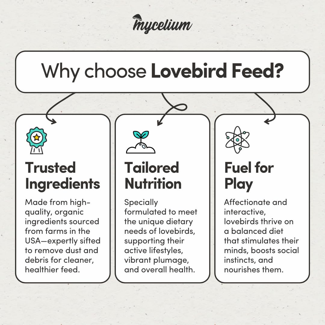 Mycelium Lovebird Feed (5 LB Bag) | Organic, Clean Seed Blend for Lovebirds & Small Parrots | Supports Skin & Feather Health | Non‑GMO, Shell-Free Nutrition | USA Made