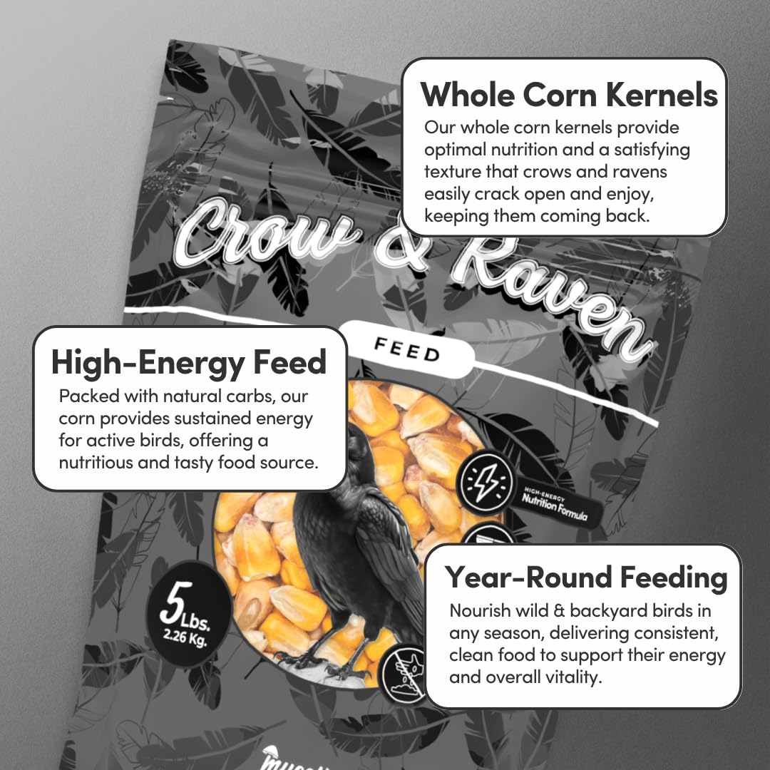 Mycelium Premium Whole Corn – 5LB Organic Non-GMO Bird Food for Crows, Ravens, Ducks, Geese, and Wild Birds – High-Energy No-Mess Corn Feed for Ground Feeding and Platform Feeders – USA Grown