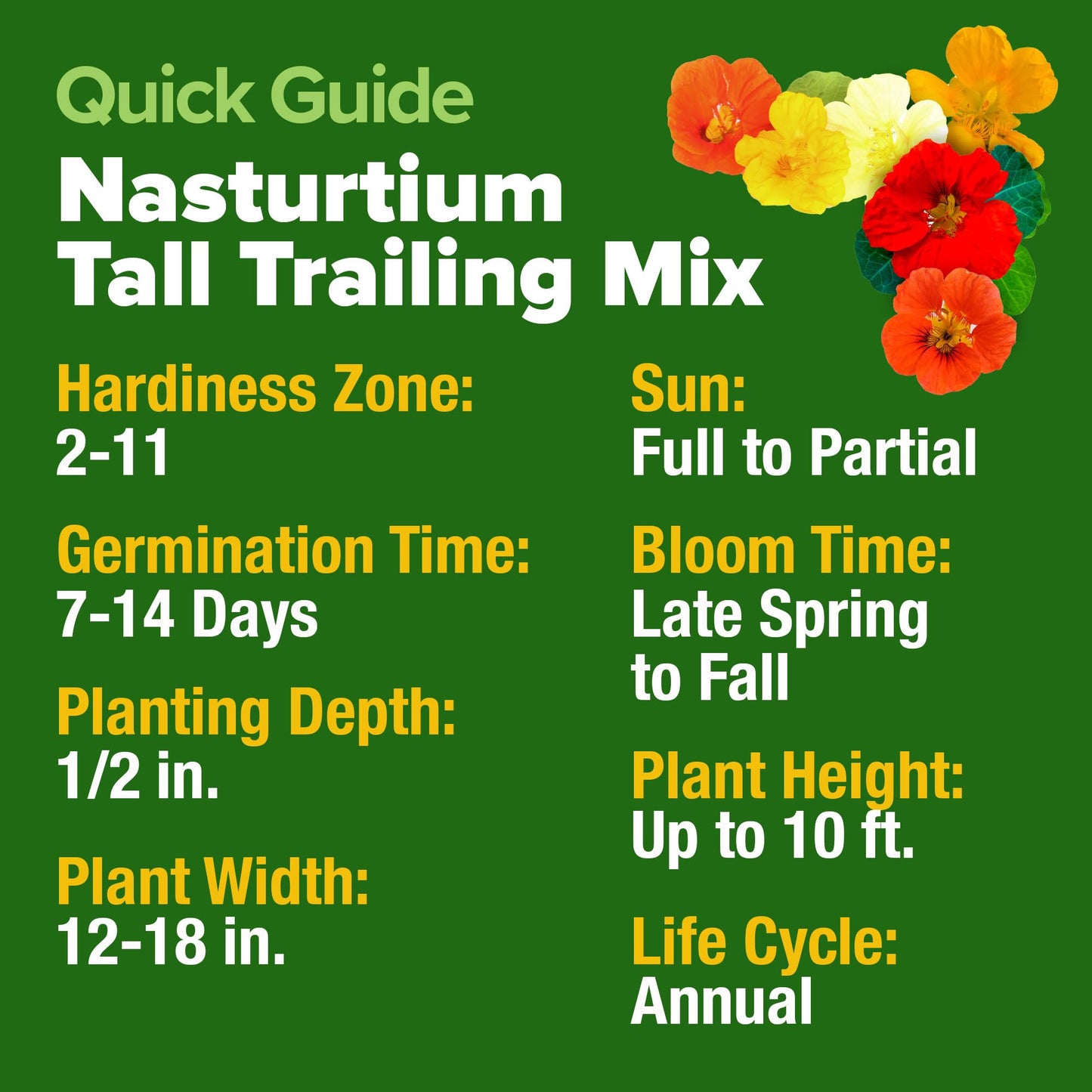 HOME GROWN Nasturtium Seeds Dwarf Tall Trailing Mix –250+ Edible Flower Seeds for Planting Outdoors – Fast Germination, Low-Maintenance Climbing & Trailing Nasturtium (Tropaeolum majus)