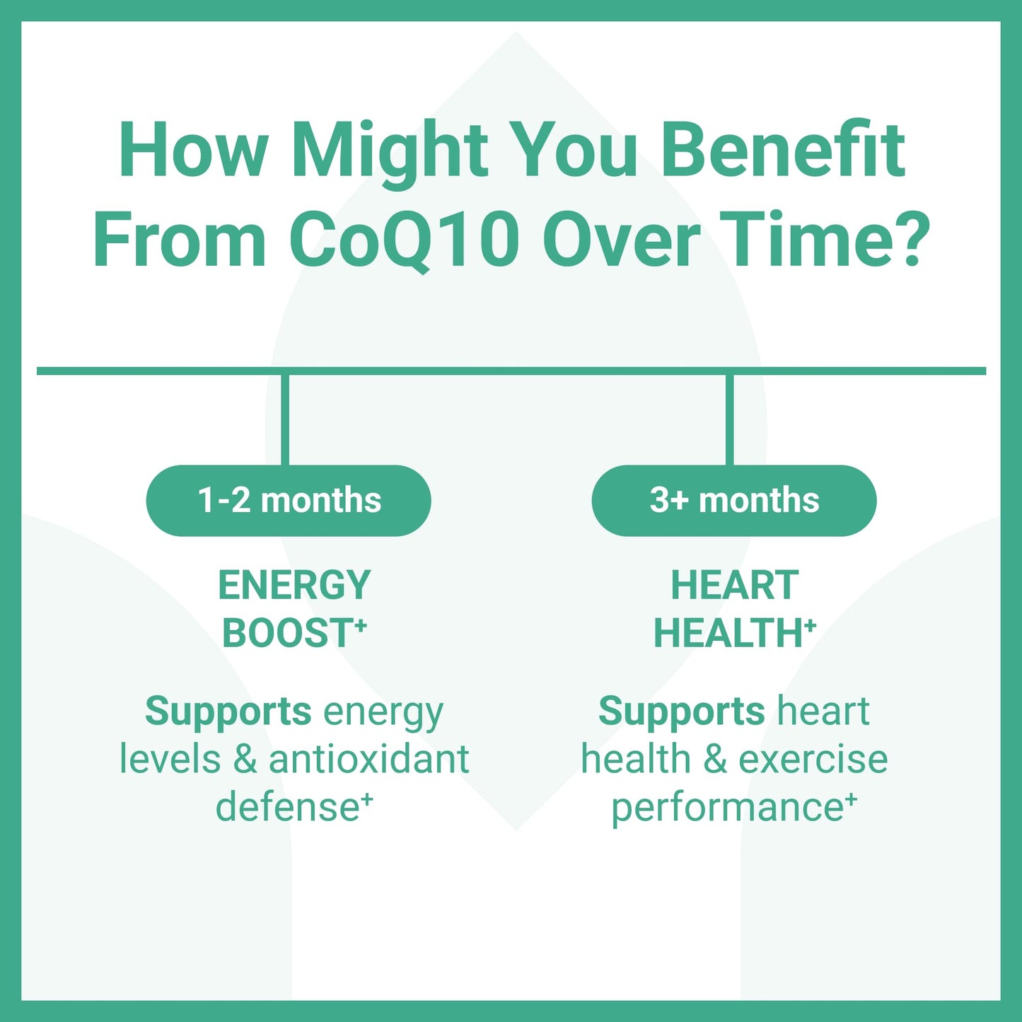 Luma Nutrition CoQ10 400mg Softgels - High-Absorption Coenzyme Q10 - Co Q-10 200mg / 400mg Per Serving - Heart Health - 60 Liquid Softgels