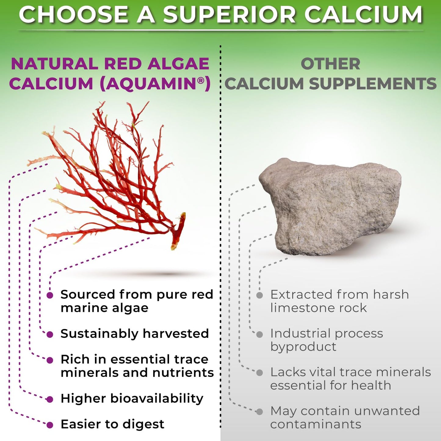 Plant-Based Calcium 500mg (Aquamin) – Vegan Calcium Magnesium Zinc D3 with Vitamin K2 & Organic Turmeric – Enhanced Bone and Muscle Health & Strength, Immune Support for Women & Men - 90 Count
