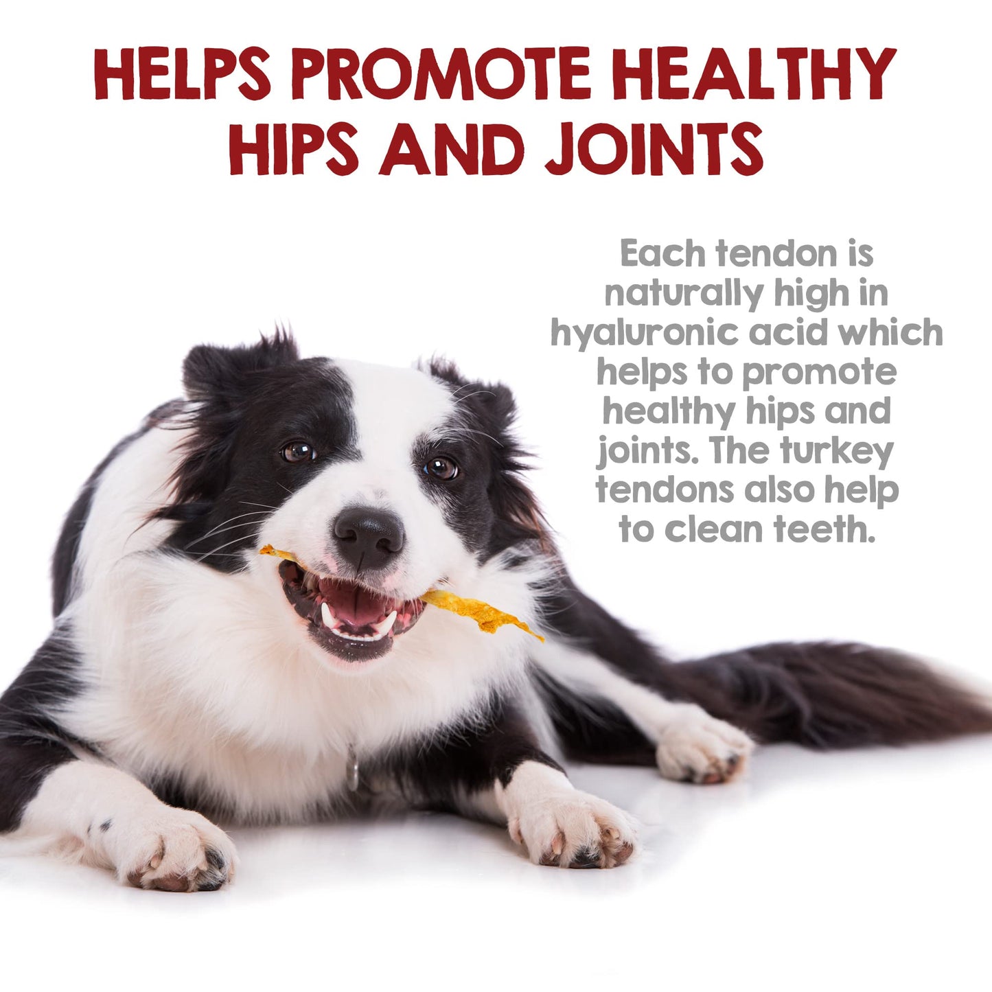 Riley's Turkey Tendons for Dogs Made in The USA & Sourced in The USA - Single Ingredient Dog Treats - All Natural Turkey Tendon Chews for Dogs - 4 oz