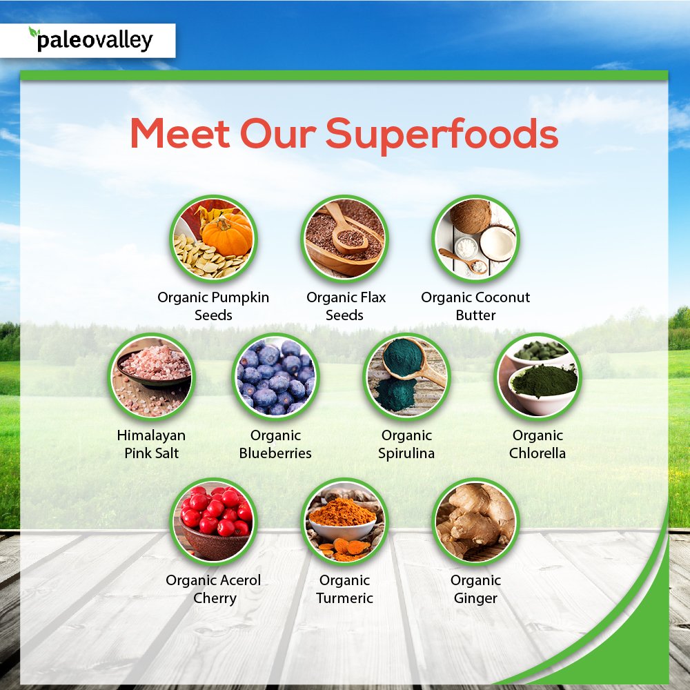 Paleovalley: Superfood Bars with Grass Fed Bone Broth Protein - Apple Cinnamon - 12 Bars - All Organic Ingredients with 10 Antioxidant-Rich Superfoods - No Gluten, Grains, Soy or Added Sugar