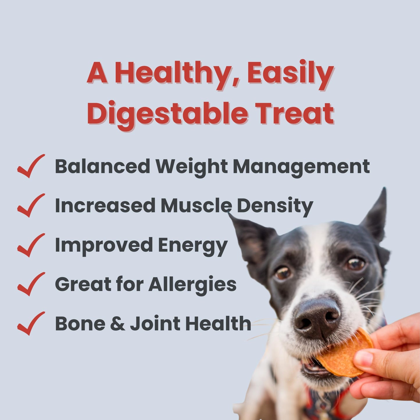 Farm To Pet - Dog Training Treats - Chicken Chips, Single Ingredient, Lean, All Natural, Healthy Dog Treats for Small, Medium, Large Breeds, & Puppies, Made in USA