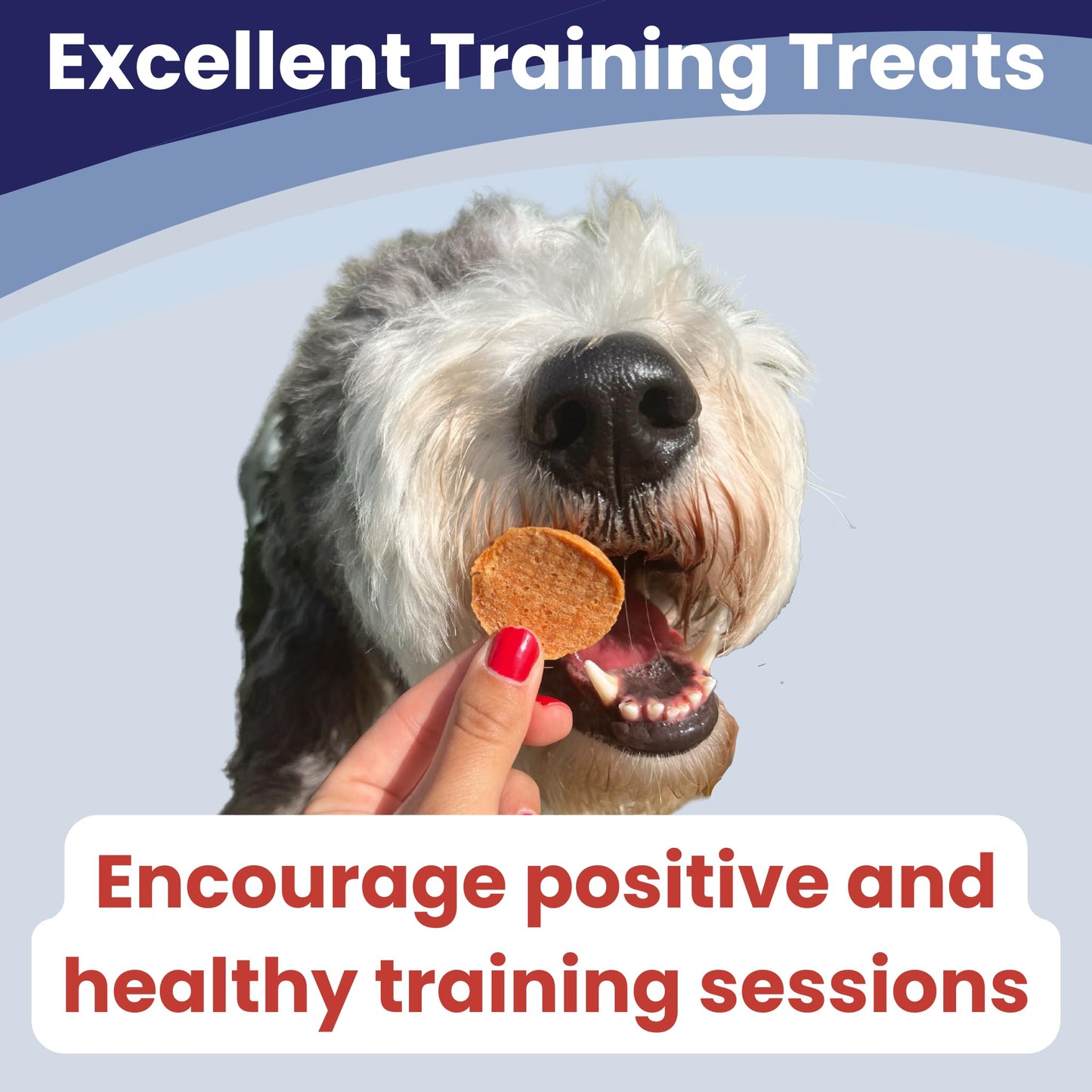 Farm To Pet - Dog Training Treats - Chicken Chips, Single Ingredient, Lean, All Natural, Healthy Dog Treats for Small, Medium, Large Breeds, & Puppies, Made in USA