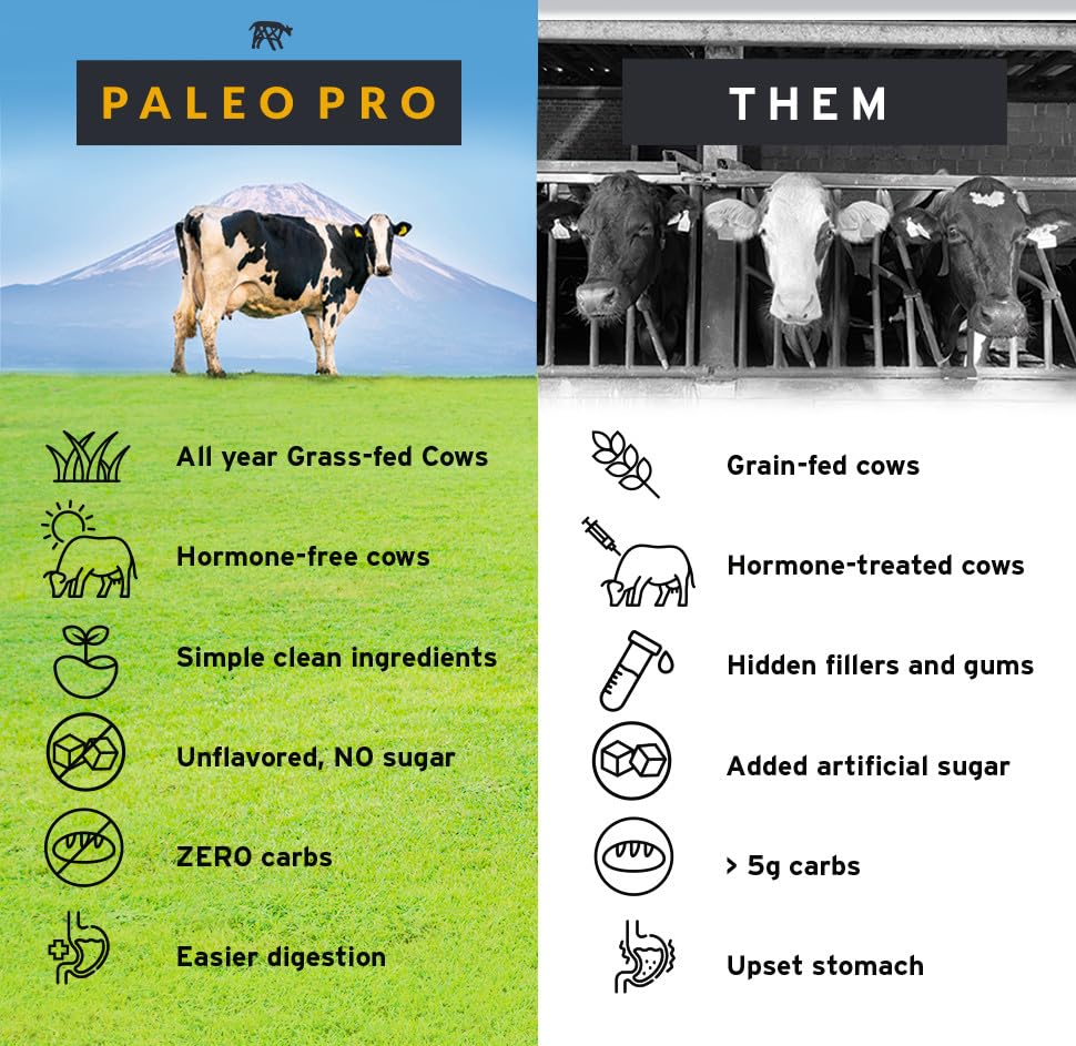Paleo Pro 26G Beef Protein Powder - Grass Fed Protein Powder Isolate - Pure Animal Based Pastured & Cage-Free | Dairy & Gluten Free, Natural & Clean Proteins for Paleo & Keto - 15 Days Supply Vanilla