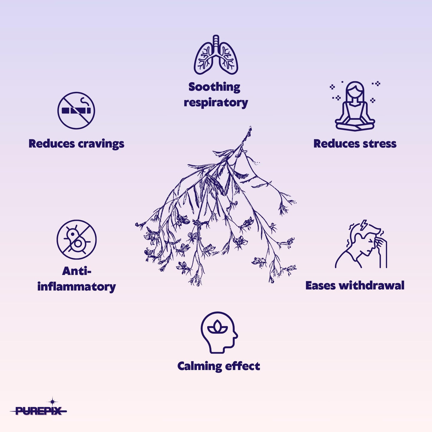 PurePix QuitPix to Help Quit Smoking Extra Thick Boosting Flavored Toothpicks with Lobelia Plant That can Help Quit Smoking - Oral Fixation - Nicotine Free - 5 Flavors Variety Pack