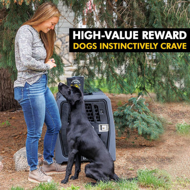 MOUNTAIN WILD Venison Jerky Training Treats for Dogs – Elk & Deer Meat Protein Dog Treat High-Value Reward – All-Natural, No Fillers, Grain-Free, No Preservatives – 8 oz (1 Pack)