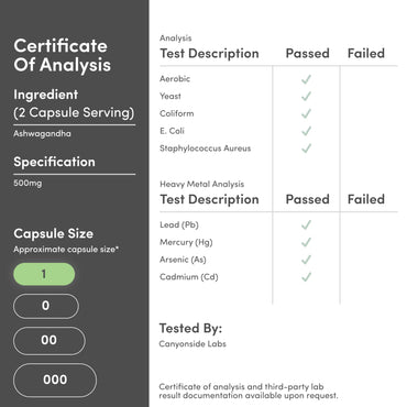 Ashwagandha Capsules, 120 Count (500mg Extract 20:1 Potency) Adaptogen Stress Relief by Double Wood