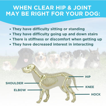 Glucosamine for Dogs Hip and Joint Supplement - Chondroitin, MSM, Green-Lipped Mussel - Clear Hip & Joint - Advanced Mobility Cartilage Support, Bone Health - Tasty Chews - Made in USA