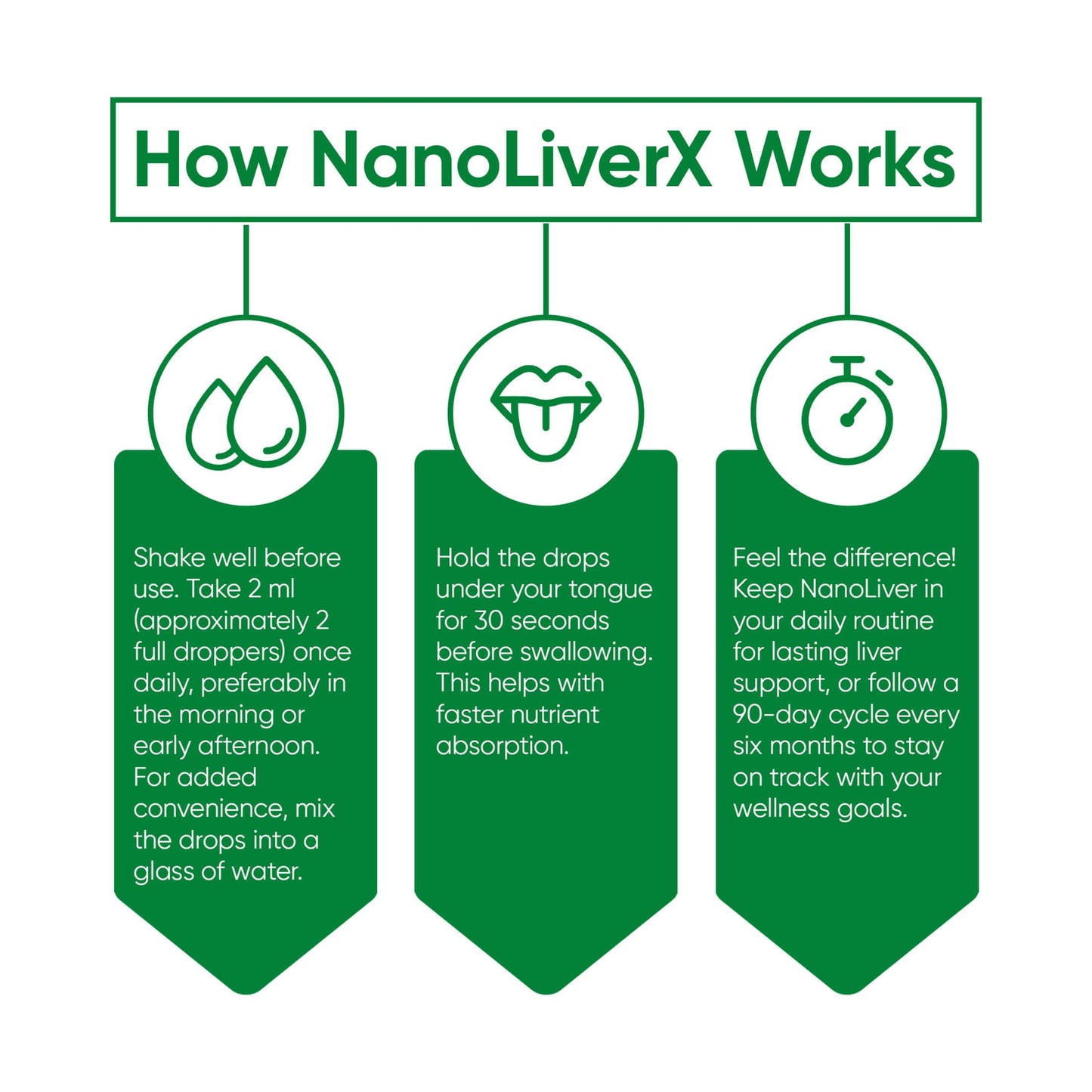 NANOREVIVE NanoLiverX - Nanoliposomal Silymarin Revitalized Liver Health Liquid Drops - Support Liver Cleanse Detox & Repair - Liver Supplement with Milk Thistle Silymarin Extract, Artichoke and More
