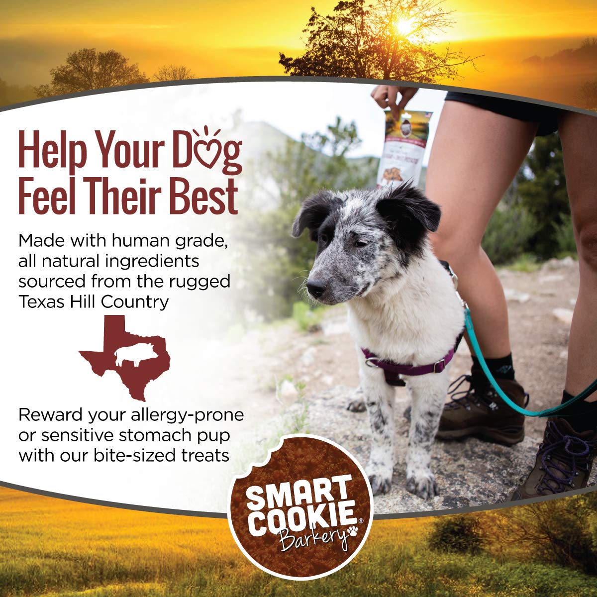 Smart Cookie All Natural Dog Treats - Wild Boar & Sweet Potato - Training Treats for Dogs with Allergies, Sensitive Stomachs - Soft Dog Treats, Chewy, Grain Free, Human-Grade, Made in USA - 5oz Bag