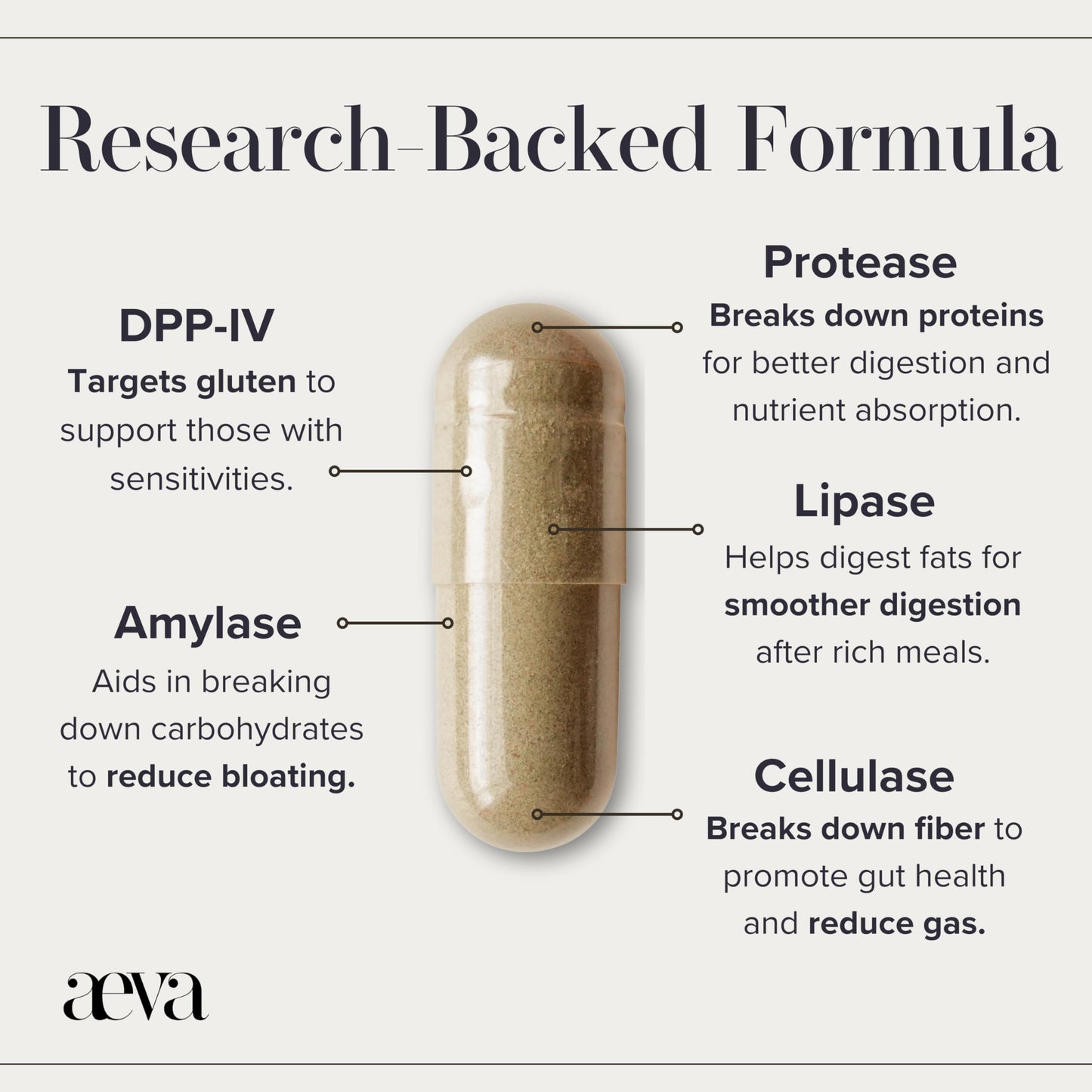 Aeva Digestive Enzymes – Anti-Bloat & Gas Relief for Dairy, Gluten, Protein & Fat – Broad-Spectrum Enzyme Formula with Single Capsule Convenience – Made in California & Functional Medicine Backed
