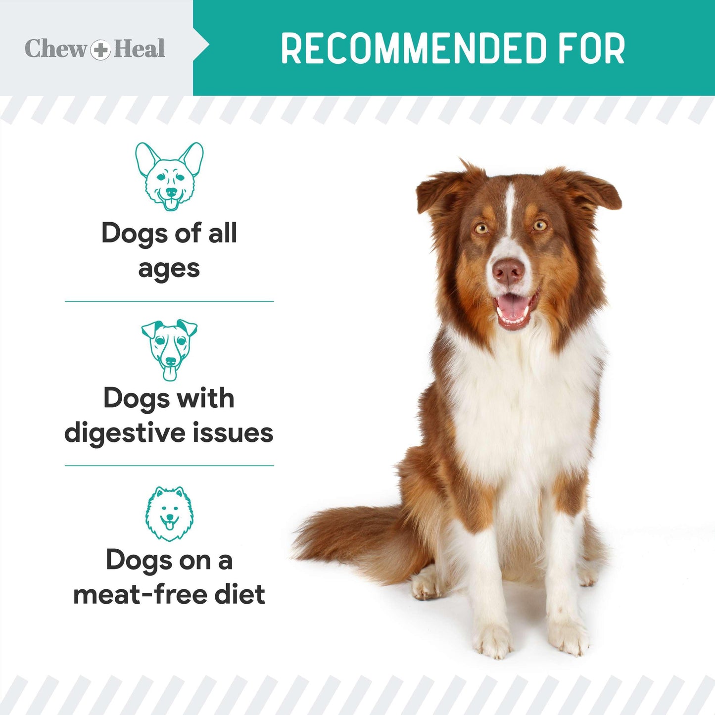 Chew + Heal Labs Probiotic Salmon Jerky Dog Treats - Wild Caught Alaskan Salmon Jerky for Digestive Health with Apples, Pumpkin, Pea Protein, and More - Made in The USA