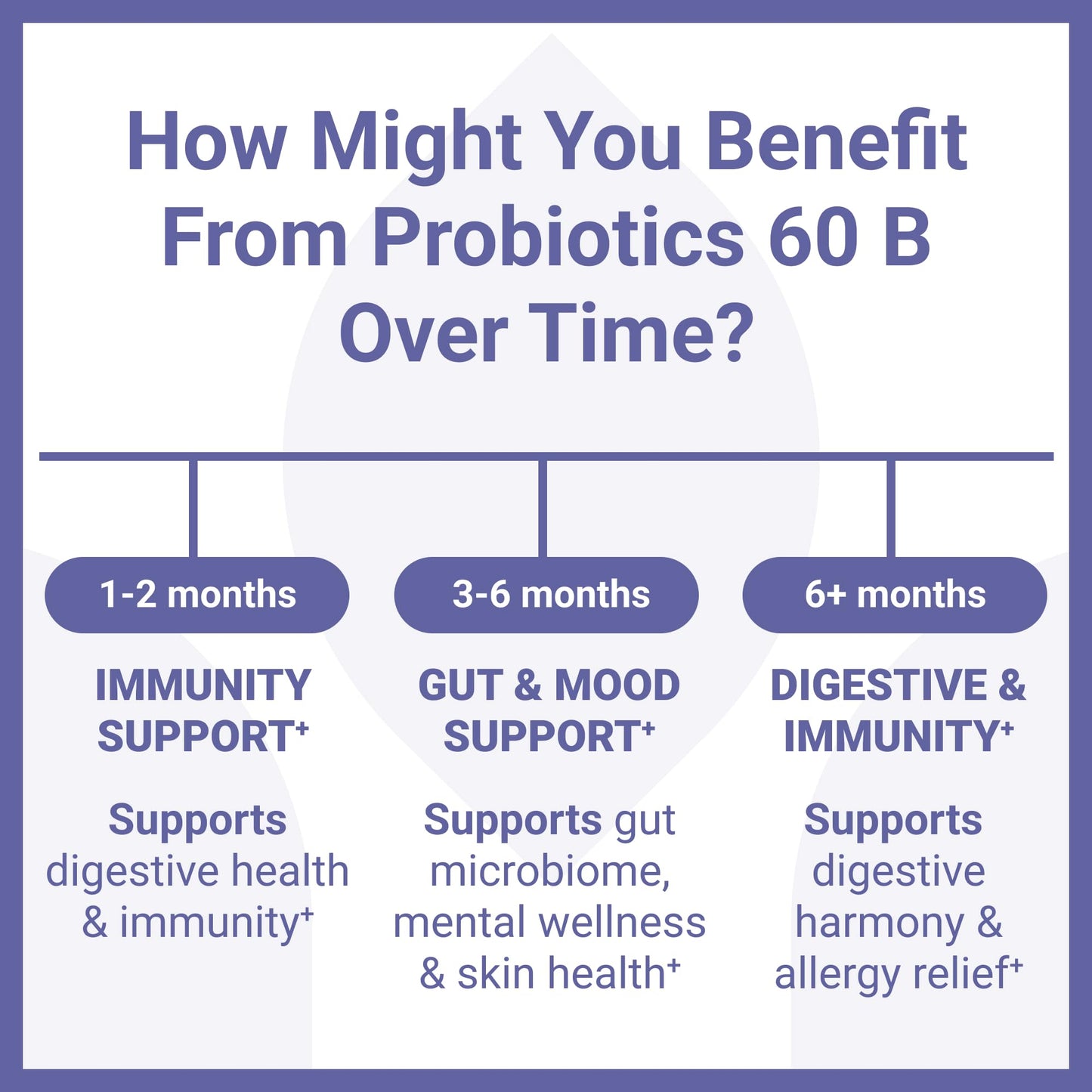 Luma Nutrition Probiotics 60 Billion CFU with Prebiotics - Probiotics for Women and Men - Formulated for Digestive Enzyme Health - Vegan & Gluten-Free - 60 Capsules