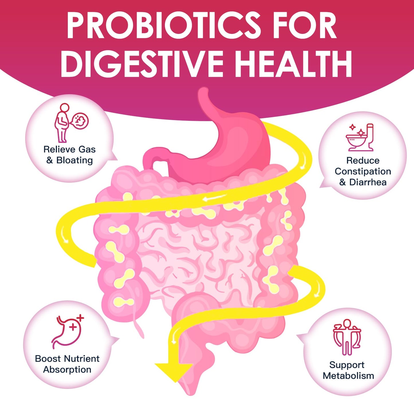 Probiotics for Women Digestive Health, Vaginal probiotics 120 Billion CFU 31 Strains with Digestive Enzymes & Prebiotics & D Mannose & Cranberry for Urinary Tract, 90 Capsules