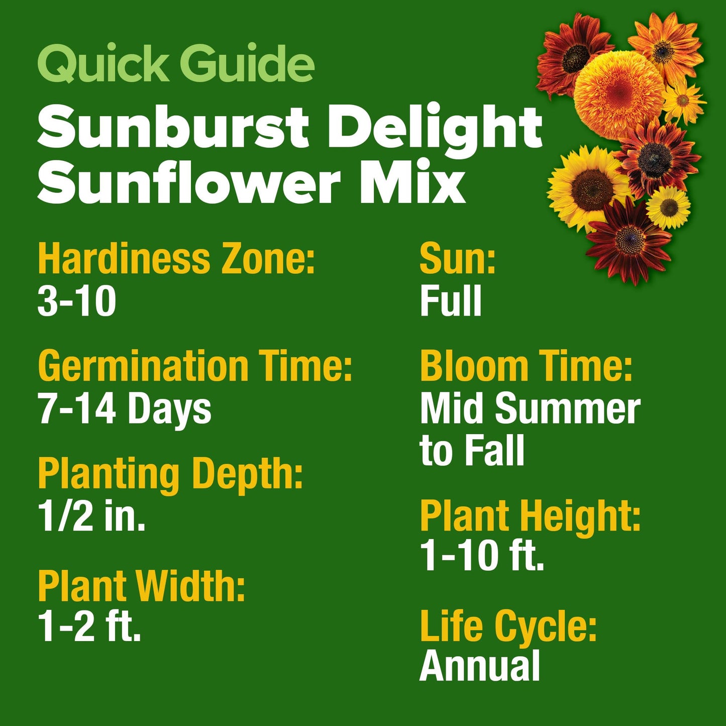 HOME GROWN Sunflower Seeds Mix Pack 1,500+ 9 Colorful Varieties of Sun Flower Seeds to Plant - 2-10ft Tall Plants, Pollinator Friendly π‘π’π‘-ππ π’ π¨π¦π β Easy to Grow, High Germination