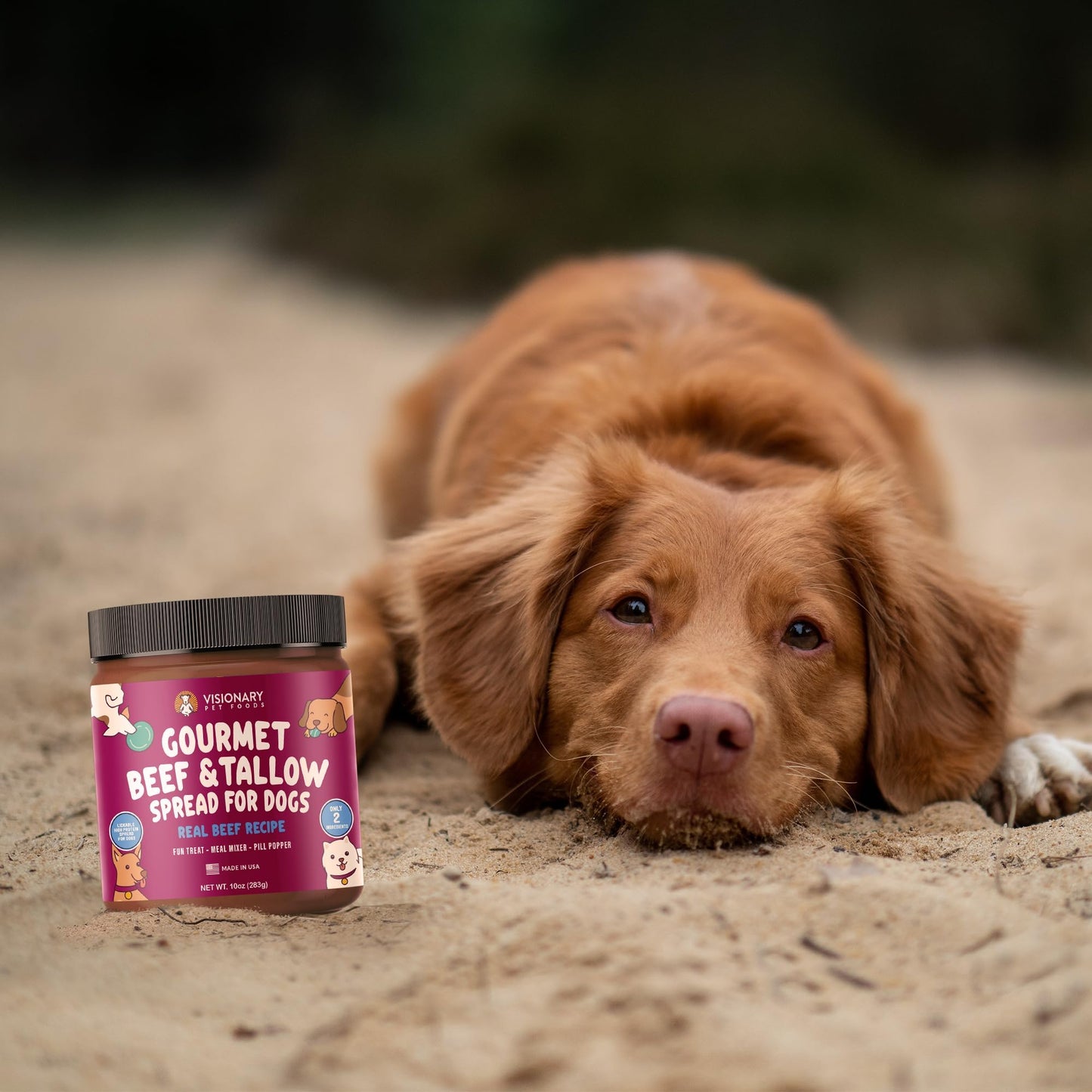 Visionary Pet Foods Beef Meat Spread - Healthy Dog Treat - Alternative to Dog Peanut Butter, Xylitol Free, No Sugar and Filler Free - Use on Lick Mat, Food Mixer, Pill Pockets - 12oz Jar