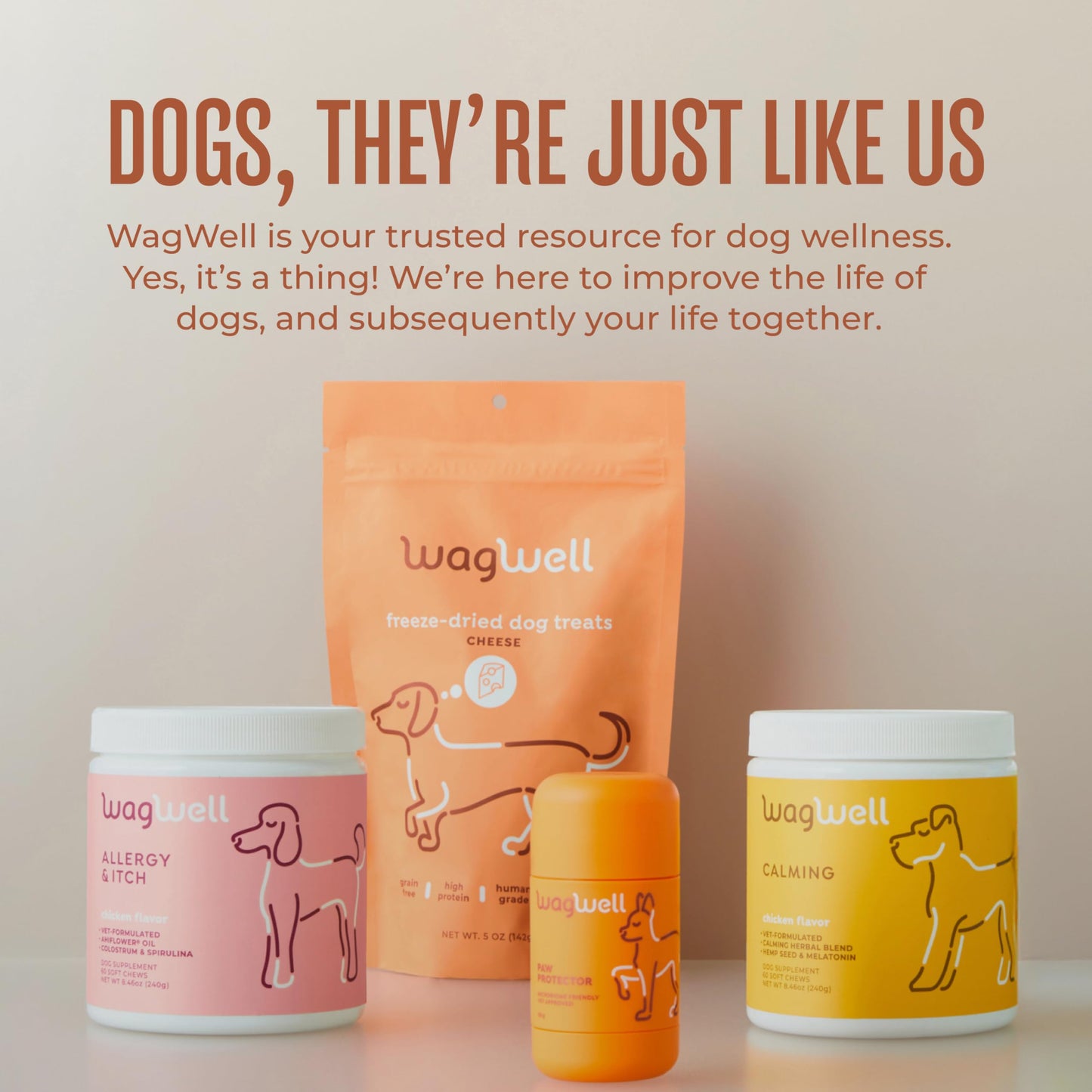 WagWell Freeze Dried Cheese Dog Treats - Grain-Free, High-Protein Pasteurized Dog Treats Made in The USA - Human-Grade, Minimally Processed & Preservatives Free