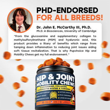 Hip & Joint Support Treats for Dogs - PhD Endorsed 500mg Glucosamine + Collagen, Chrondroitin & Turmeric- Preventative Care, Mobility Boost - 140 Treats - Beef Flavor - Made in USA