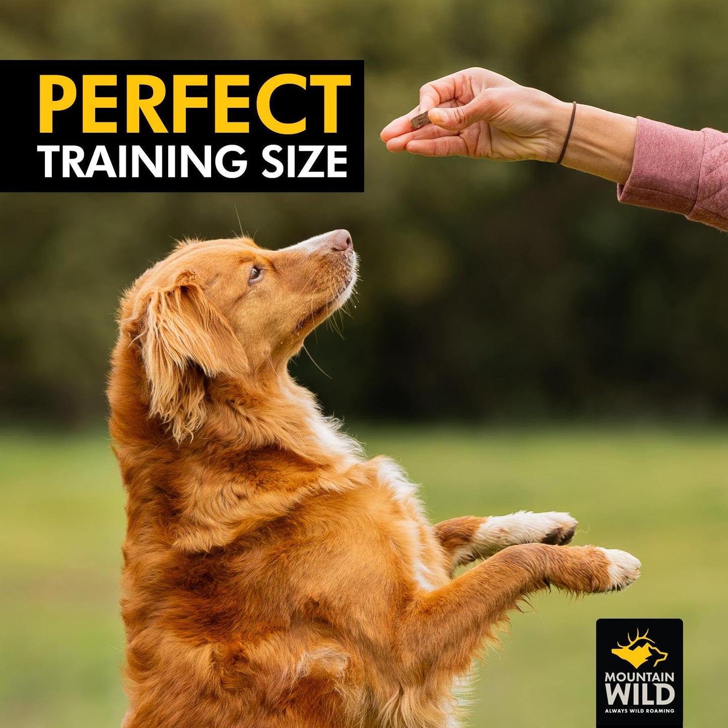 MOUNTAIN WILD Training Treats for Dogs & Puppies – Elk & Venison Protein Puppy & Dog Treat – High Value, All-Natural, No Fillers, Grain-Free, No Artificial Preservatives – 4oz, 1 Bag