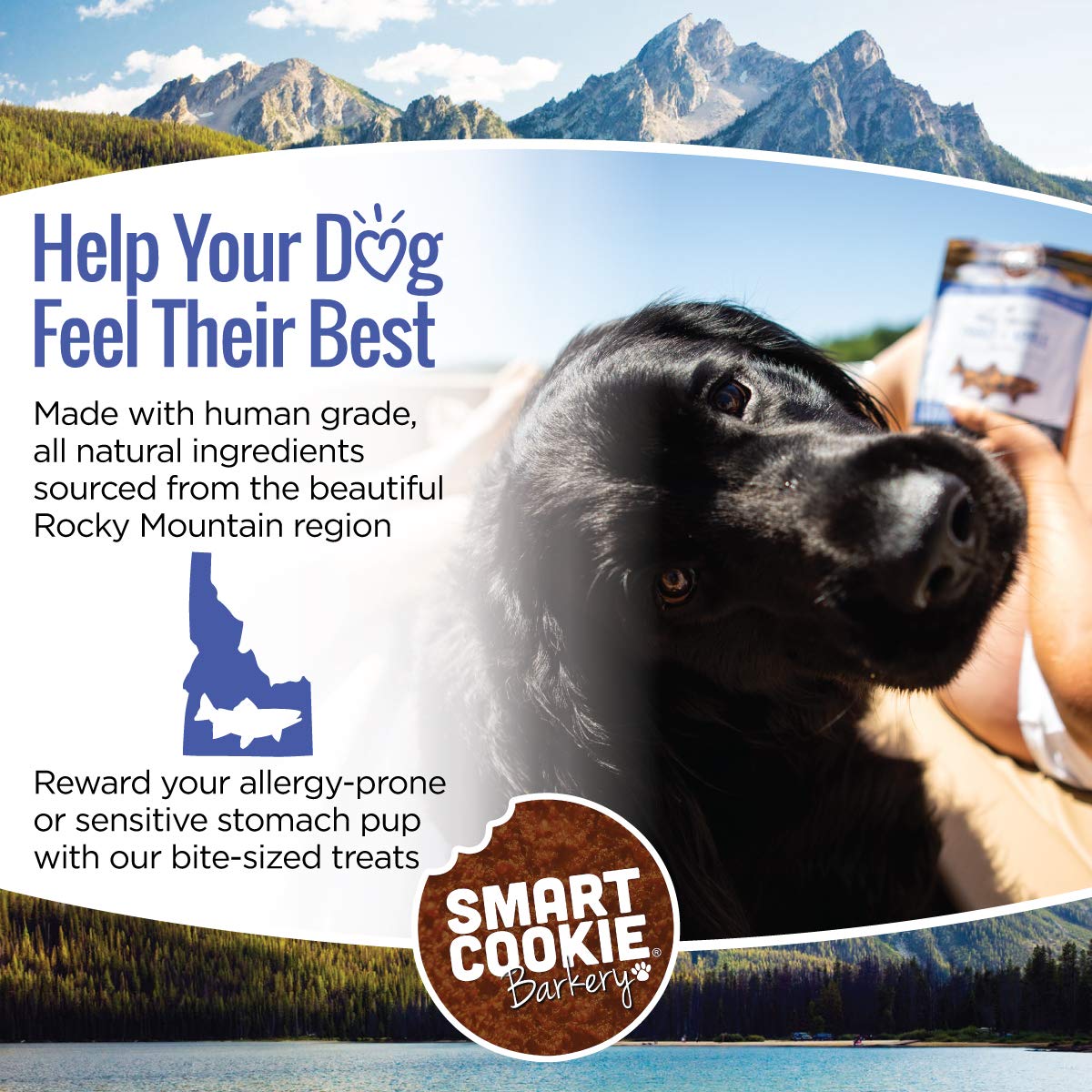 Smart Cookie All Natural Soft Dog Treats - Healthy Dog Treats for Allergies, Sensitive Stomachs - Chewy, Grain Free, Human-Grade, Made in The USA - 5oz Bag