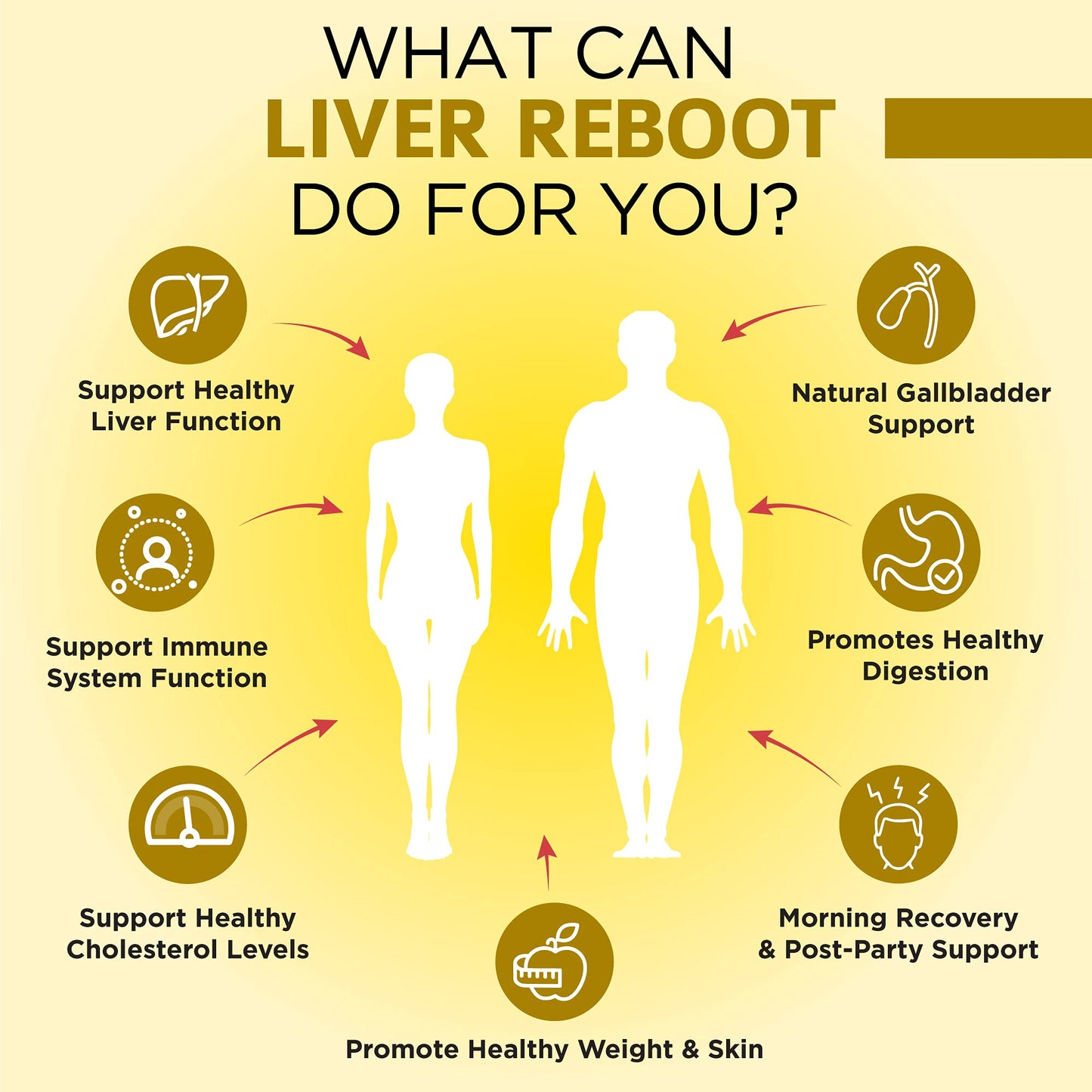 OmniBiotics Liver Cleanse Detox & Repair Supplement β Milk Thistle, Dandelion Root, Alpha Lipoic Acid, Artichoke Extract, Schisandra, Silymarin β 60 Vegan Capsules