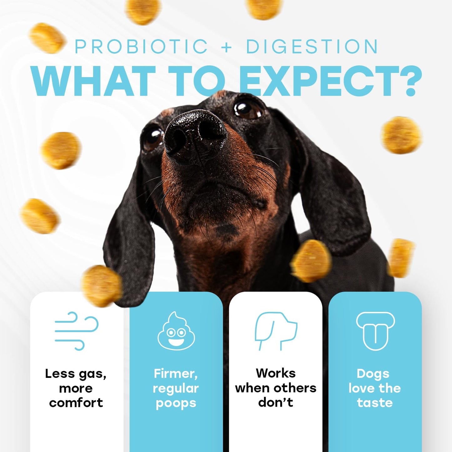 Probiotics for Dogs - PhD Endorsed Digestive Enzymes - Gut Health, Diarrhea & Bowel Support - Dog Treats with Turmeric, Omega-3 & Fiber - Immune Soft 140 Chews - Beef Flavor - Made in USA