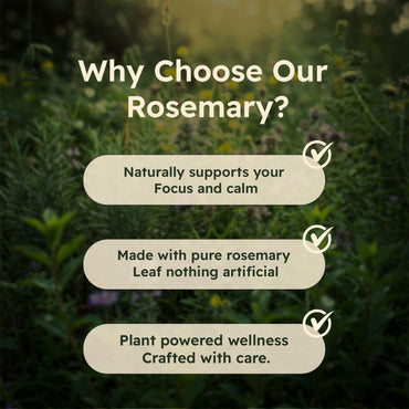 Rosemary Leaf Extract 500mg, 90 Vegan Capsules, Herbal Supplement for Memory, Focus, Digestion, Inflammation & Hair Health, Gluten-Free, Plant-Based