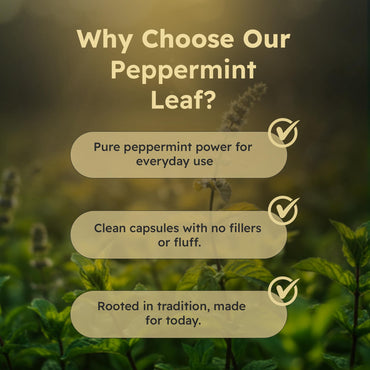 Vegan Peppermint Leaf Capsules 750mg, 90 Vegan Capsules | Gentle Digestive & Breath Support | Herbal Supplement | Organic, Gluten-Free