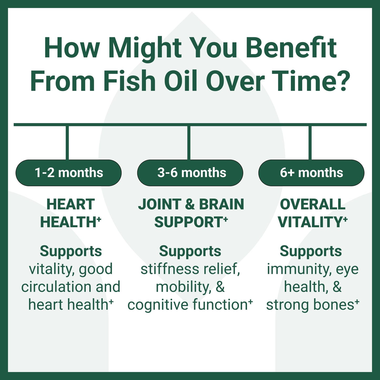 Luma Nutrition Omega 3 Fish Oil Supplement - Extra Strength 2500mg - 2000mg EPA & DHA - Brain and Heart Health - 60 Softgels