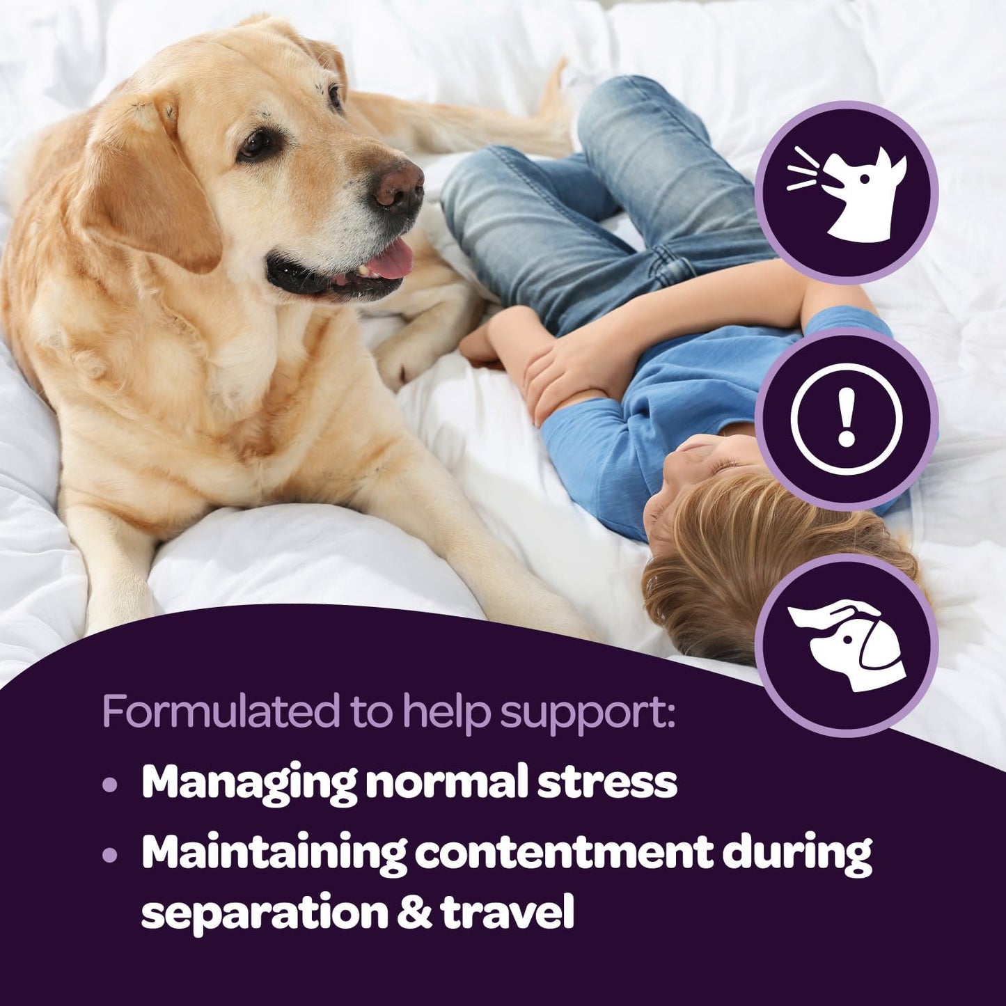 Calming Chews for Dogs | Herbal Dog Calming Chews for Anxiety from Normal and Occasional Stressors Including Separation Storms Grooming & Travel | NASC Certified & Made in The USA | 60 Count