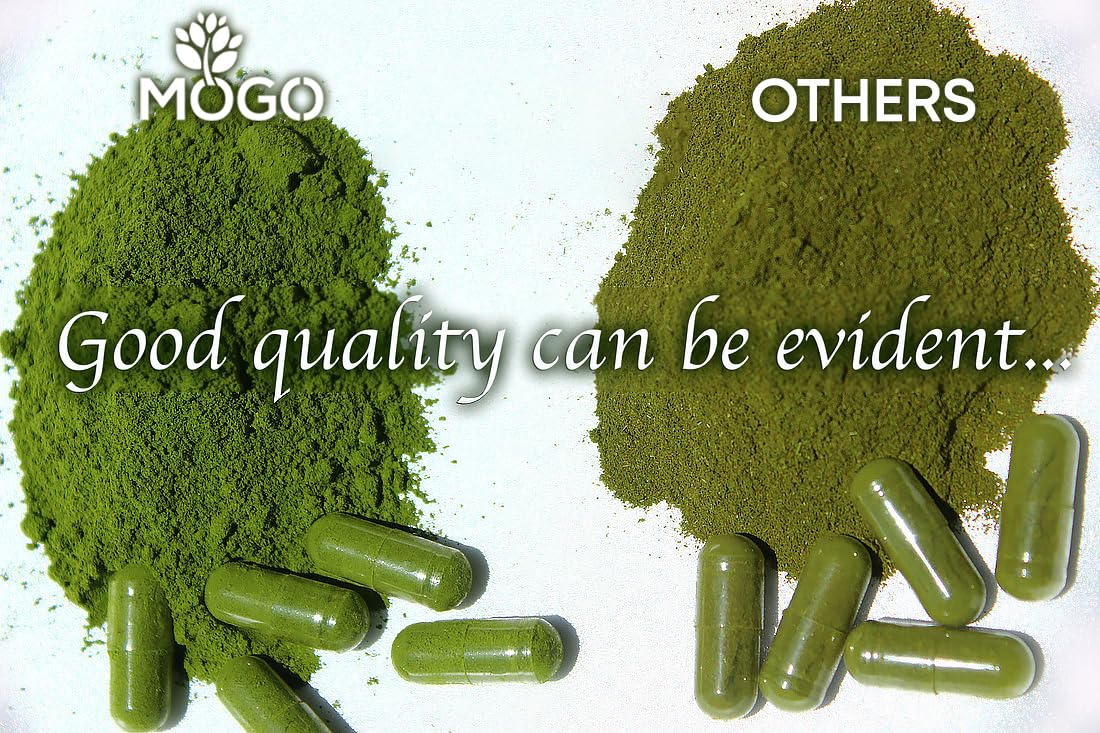 MOGO Moringa Capsules -180 Ct| Boost Energy, Immune, Gut, Joint Support | Made with Pure Organic Moringa Powder Organic Capsules | Made in USA | Antioxidants Rich Complete Green Superfood Supplement