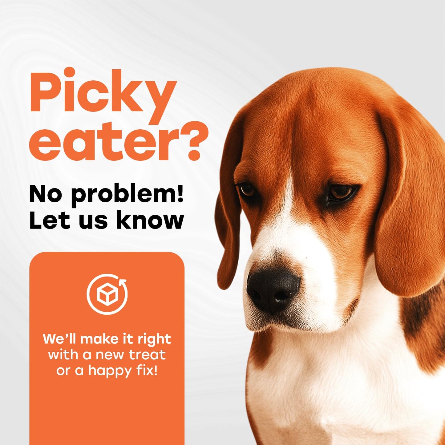 Hip & Joint Support Treats for Dogs - PhD Endorsed 500mg Glucosamine + Collagen, Chrondroitin & Turmeric- Preventative Care, Mobility Boost - 140 Treats - Beef Flavor - Made in USA