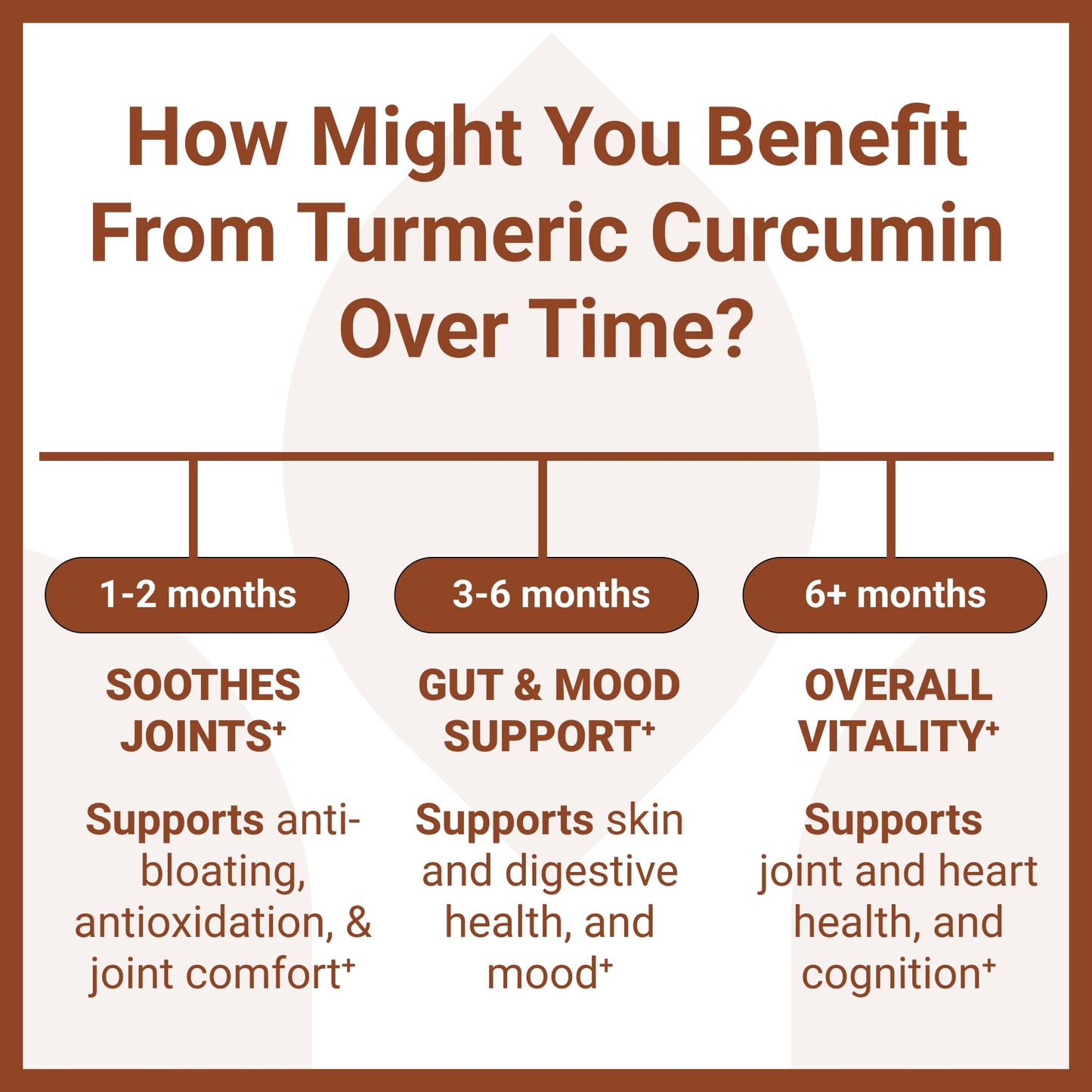 Luma Nutrition Turmeric Curcumin with Black Pepper - 95% Curcuminoids - 1950mg Per Serving - Premium Turmeric Supplement - with BioPerine for Max Absorption - Made in USA - 90 Capsules