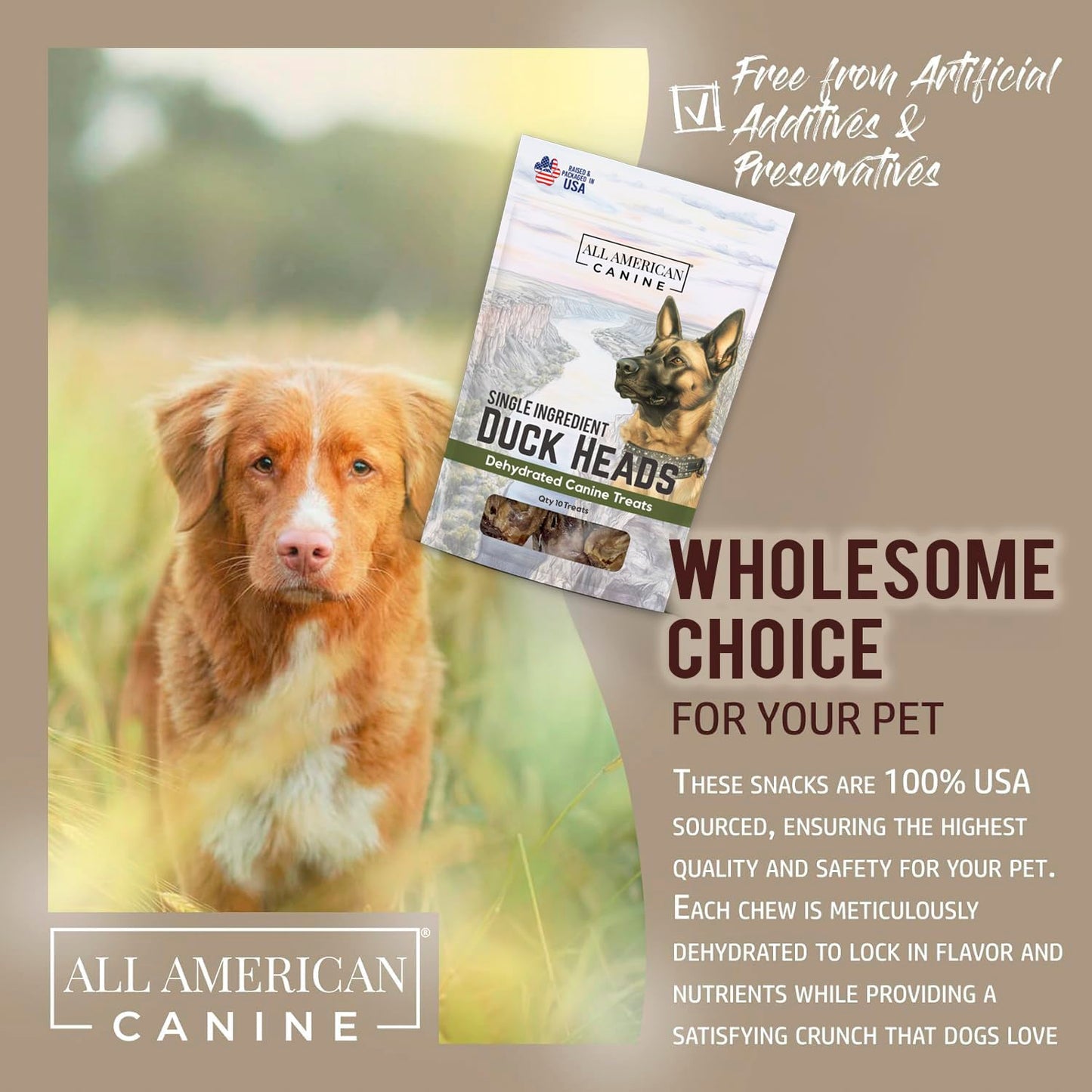 All American Canine 10 Natural Duck Head Dog Treats – Single Ingredient, Dehydrated & Digestible – Low-Fat, High-Protein Chew for Training & Dental Health – Made in USA