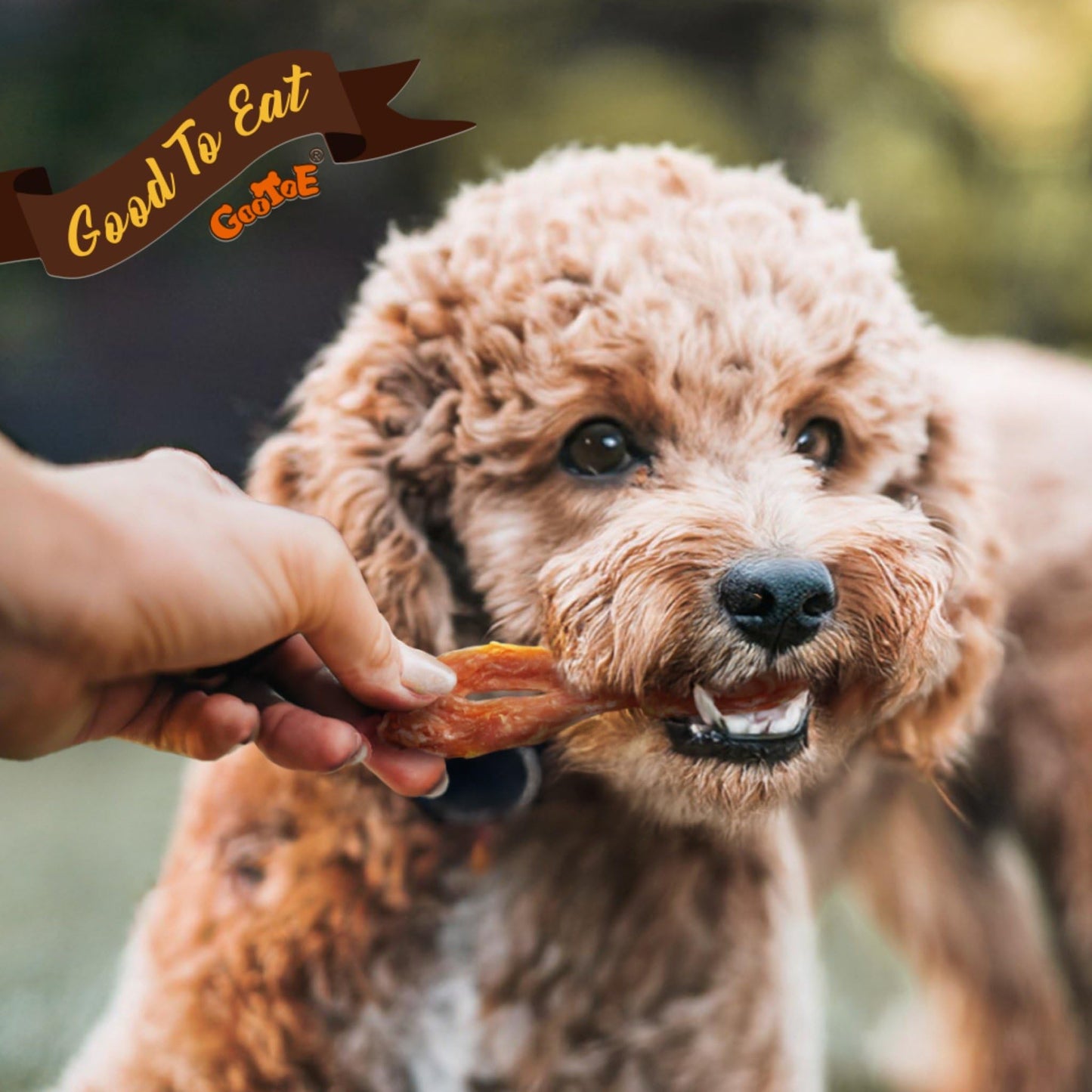 Gootoe Turkey Tendon Dog Treats 1 lb (Pack of 1) – 7 Inch Slice, 100% USA Sourced Turkey, Natural Snack, Premium Puppy Chews, Hypoallergenic, Rawhide Free, Reseal Value Bag, Size for Medium Breeds