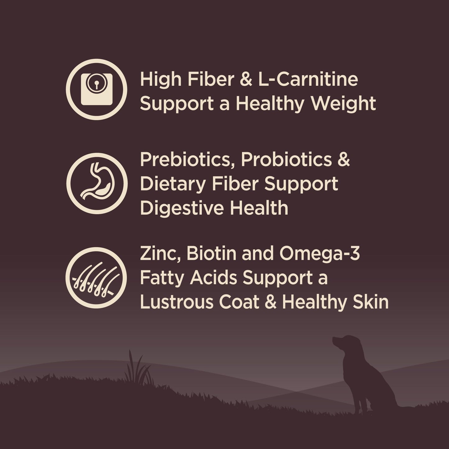 Wellness CORE Grain-Free High-Protein Dry Dog Food, Natural Ingredients, Made in USA with Real Meat, All Breeds, For Adult Dogs (Reduced Fat, 26-Pound Bag)