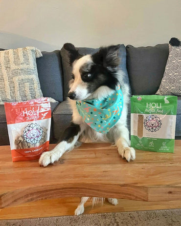 HOLI Single Ingredient Dog Food Protein Topper - Made in USA – Human-Grade Freeze Dried Dog Food Mix in Topping – Grain Free, Gluten Free – 100% All Natural