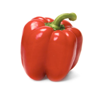 Organic Red Bell Pepper