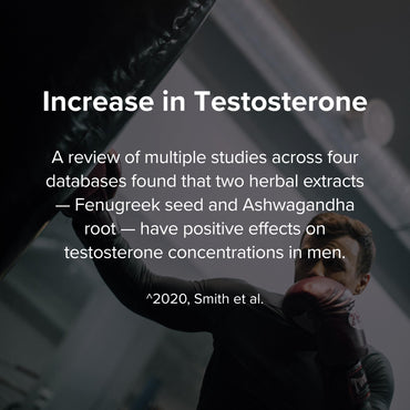 Peak Potential 12-in-1 Testosterone Support for Men – Natural Strength, Energy & Muscle Builder with Tongkat Ali, Ashwagandha & Fenugreek – 90 Capsules