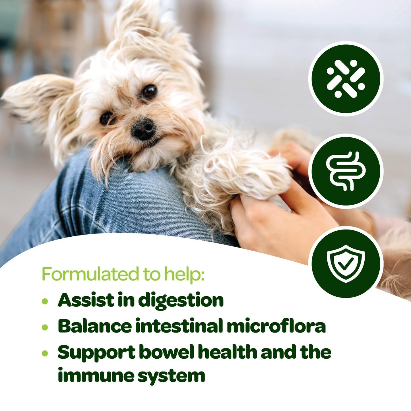 Probiotic Chews for Dogs Gut Health | Tasty Pre and Probiotics for Dogs Digestive Health with Pumpkin Dog Probiotics and Digestive Enzymes | NASC Certified & Made in The USA | 60 Chews