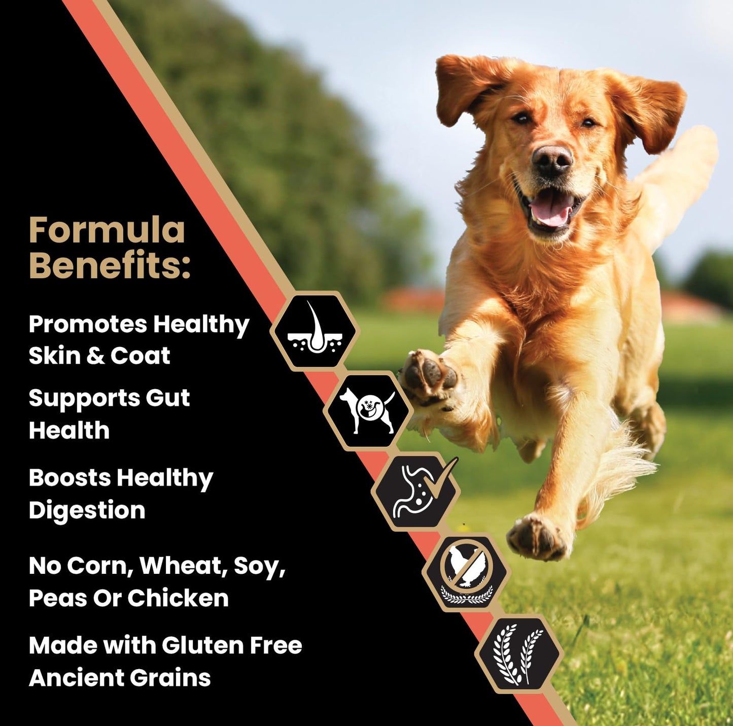 VICTOR Super Premium Dog Food — Sensitive Skin and Stomach — Salmon Meal & Brown Rice Recipe Dry Kibble — Gluten Free, No Chicken, Ideal for Dogs with Allergies — Adult and Puppy Food, 5 lb