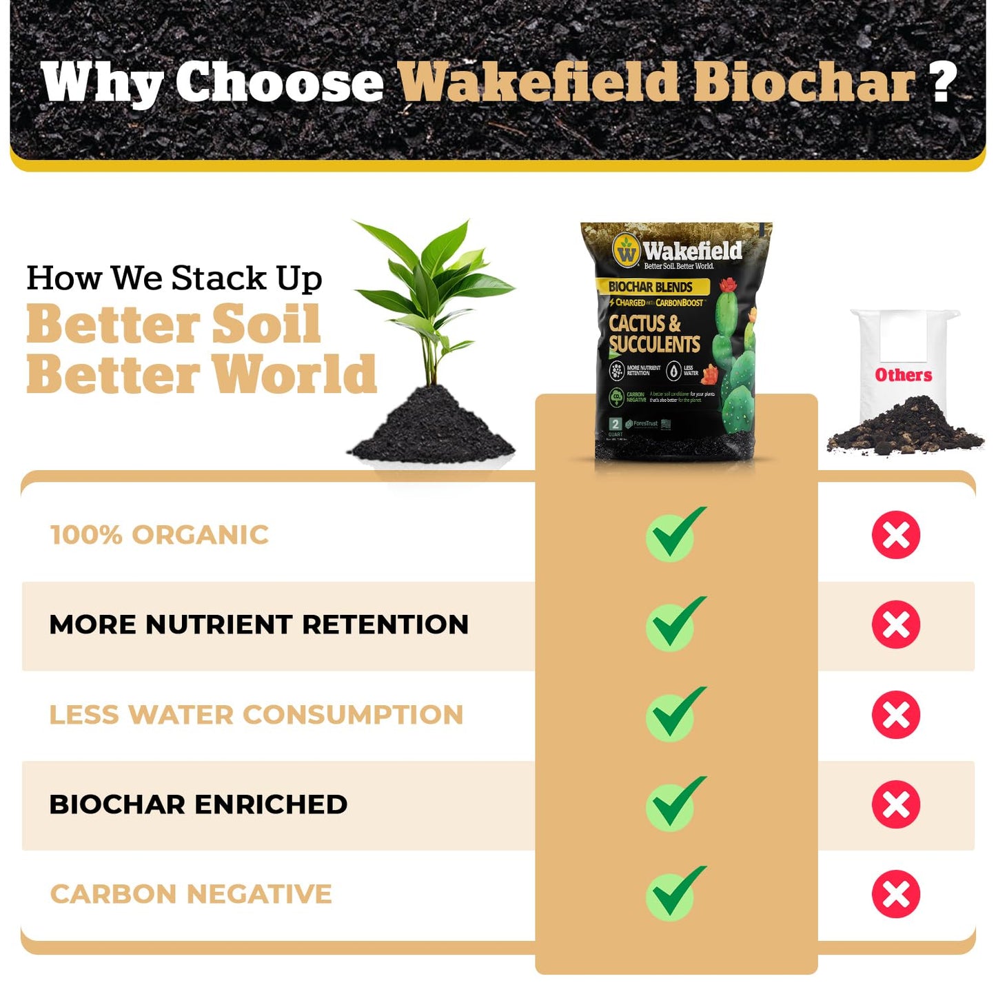 Wakefield Biochar Blend Potting Mix for Cactus & Succulent – Premium Potting Soil Blend with CarbonBoost Technology for Superior Drainage, Moisture Retention & Root Growth – 2 QT Organic Soil Mix