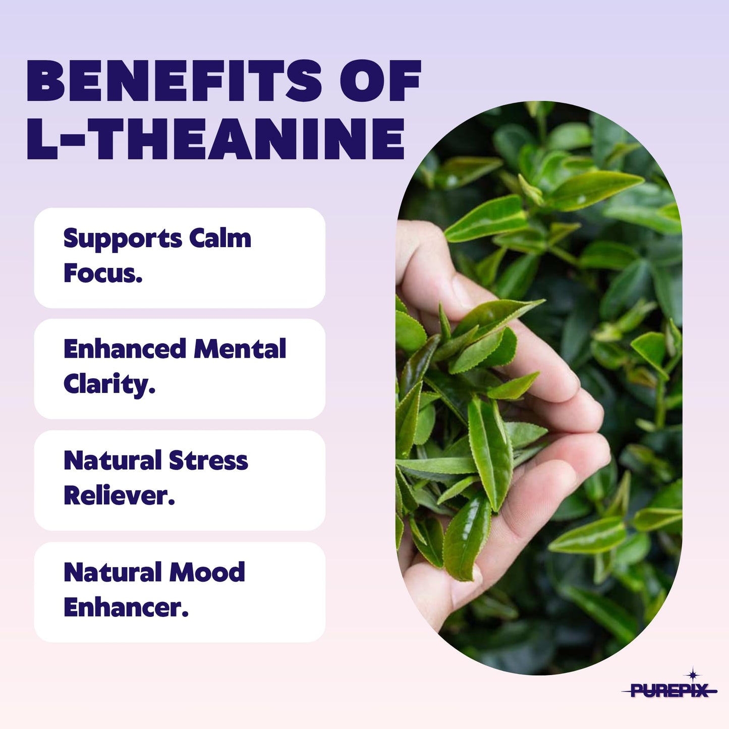 PurePix EnergyPix - Extra Thick Caffeine Flavored Toothpicks with L-Theanine, B12 & B6 for Focus & Energy - Sugar-Free Alternative to Energy Mints & Gum - 20 Count, (4 Flavors Variety Pack)