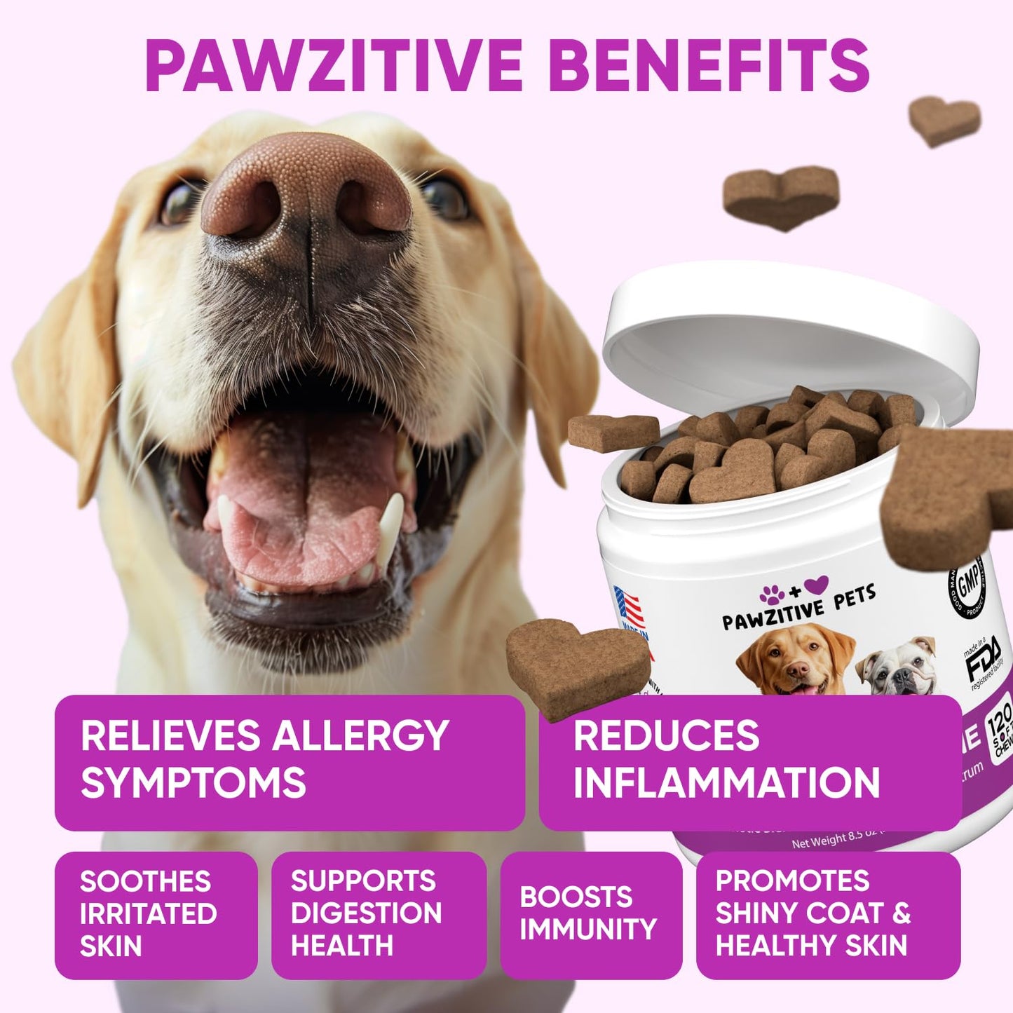 Dog Allergy Relief Chews for Itchy Skin - Seasonal and Food Allergy Chews for Shedding, Licking Paws, Hot Spot, Ears - USA Product - Omega 3 Fish Oil Skin & Coat Supplement - Anti Itch Immune Treats