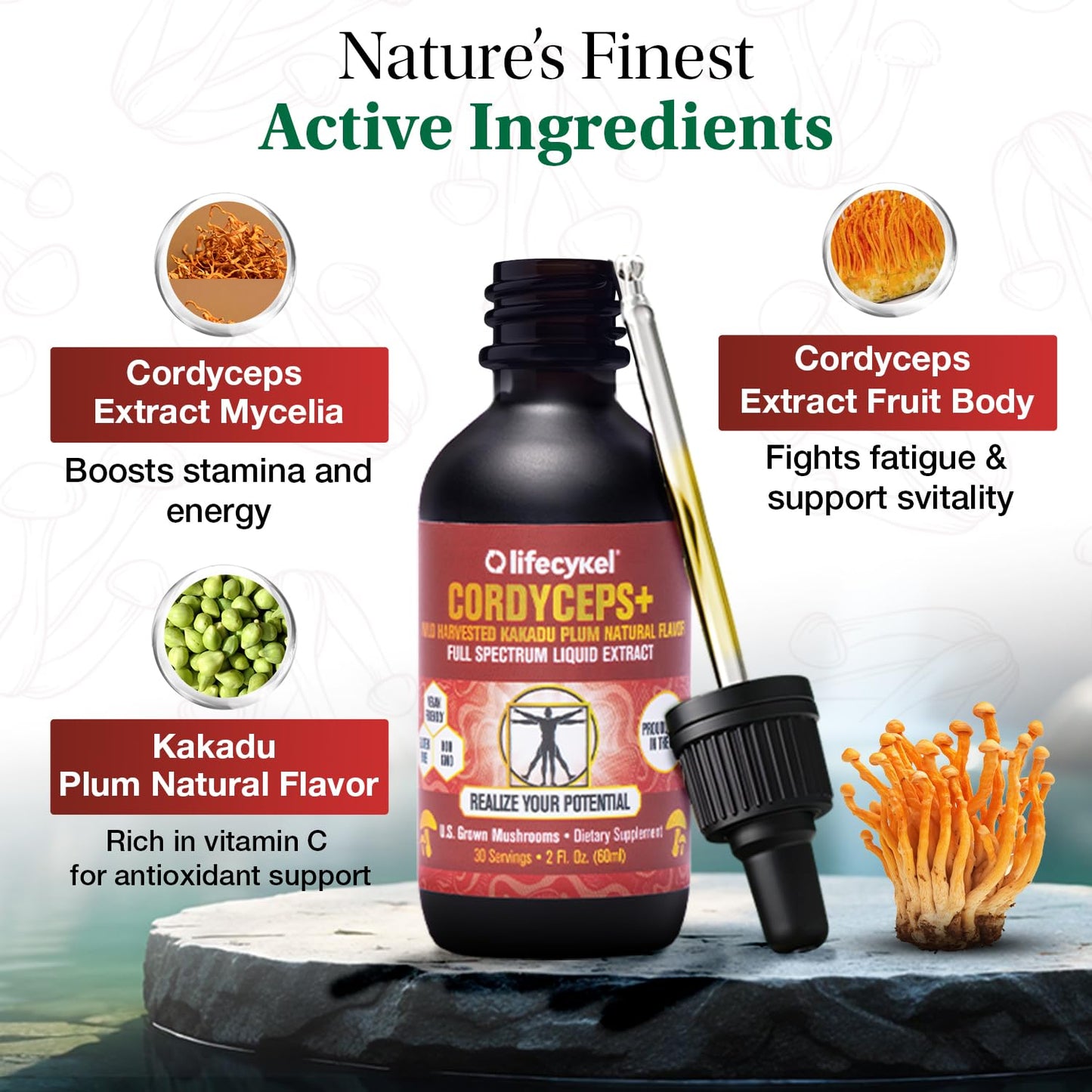 Life Cykel Cordyceps + Lions Mane Extract Performance Pack - Organic Mushroom Supplement for Energy, Focus & Mental Clarity - USA Made, Pure & Potent Mushroom Liquid Drops for Adults