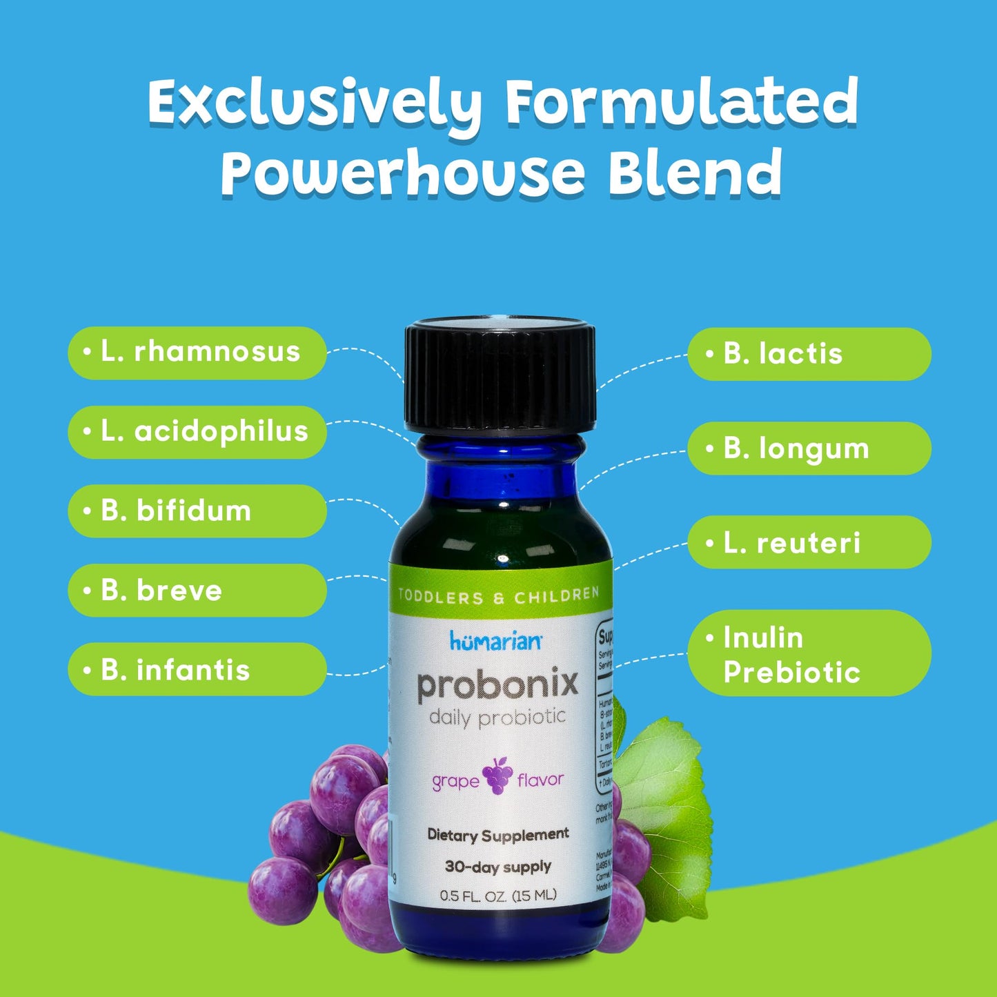 Probonix Humarian Liquid Probiotics for Kids Aged 1-9 Years Old - Superior 8-Strain Probiotic Drops to Fortify Gut Health, Immunity and More - 30-Day Supply - Tasty Grape Flavor