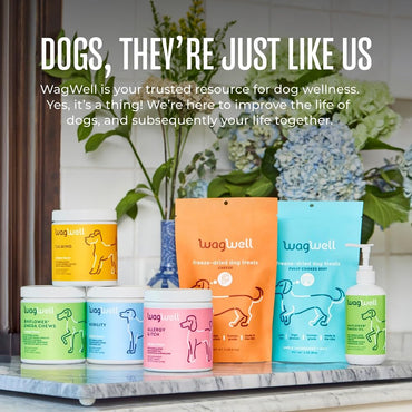 WagWell Freeze-Dried Beef Dog Treats - Grain-Free, High-Protein Fully Cooked Dog Treats Made in The USA - Human-Grade, Minimally Processed & Preservatives Free